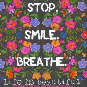 Meet your Posher, Abbey